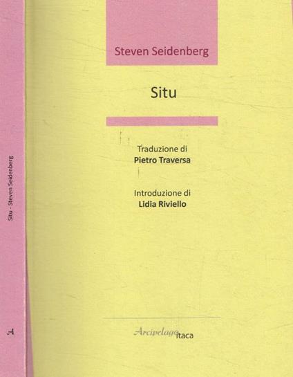 Situ - Steven Seidenberg - copertina