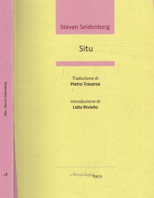 Situ - Steven Seidenberg - copertina