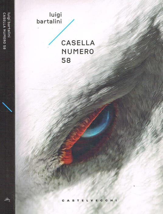 Casella numero 58 - Luigi Bartalini - copertina