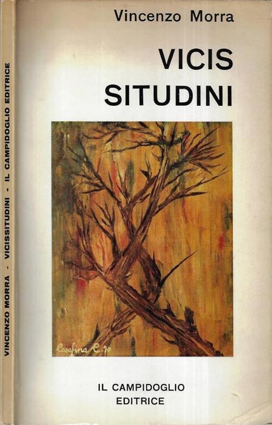 Vicissitudini - copertina