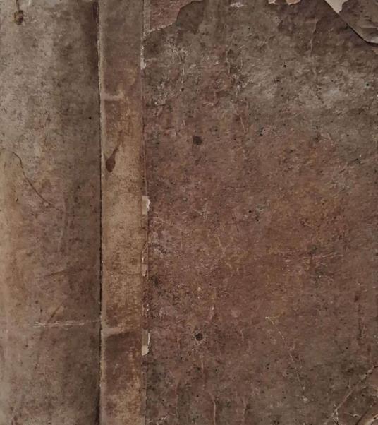 L'assedio di Firenze. Volume primo - copertina
