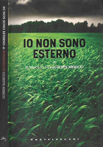 Io non sono esterno - Giuseppe Merico - copertina