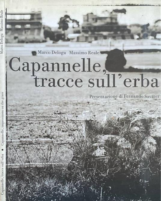 Capannelle, tracce sull'erba - copertina