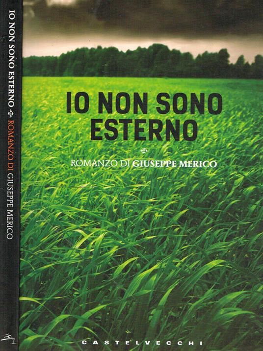 Io non sono esterno - Giuseppe Merico - copertina