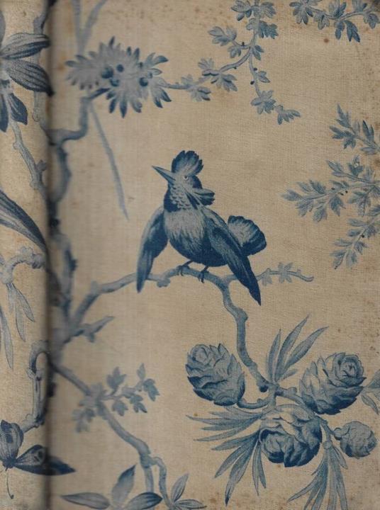 Cyrano de Bergerac - Edmond Rostand - copertina