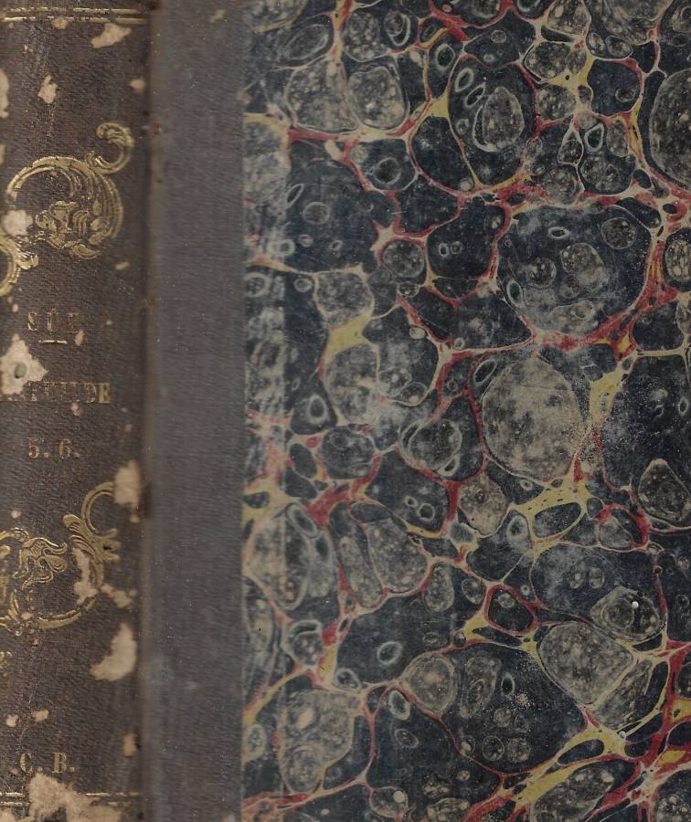 Biblioteca di Babele