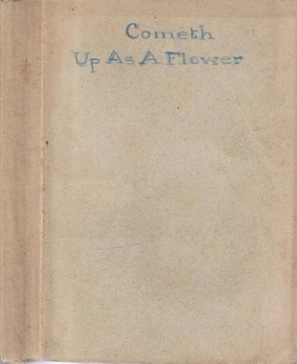 Up as a flower - copertina