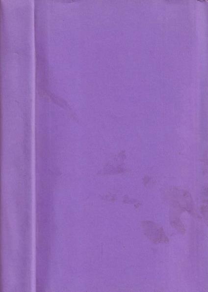L'inferno bianco - Cesco Tomaselli - copertina