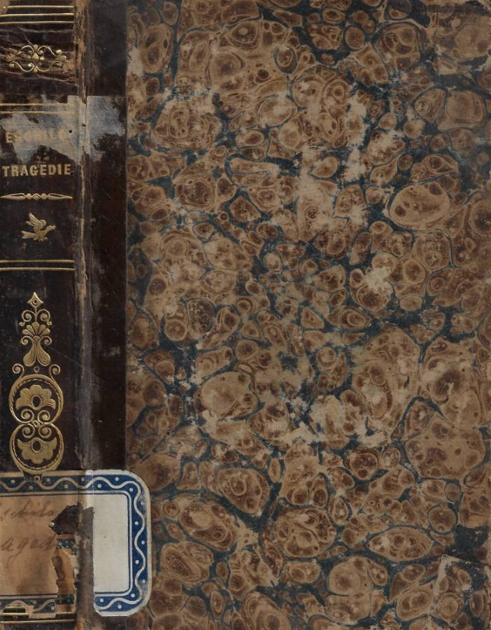 Biblioteca di Babele