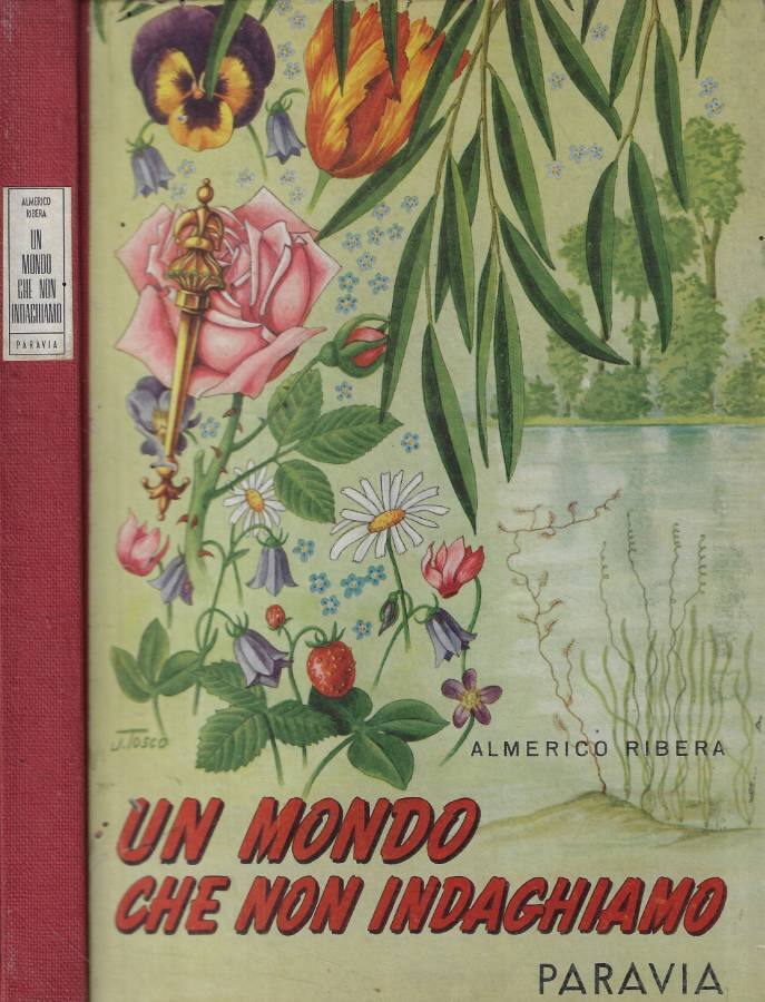 Biblioteca di Babele
