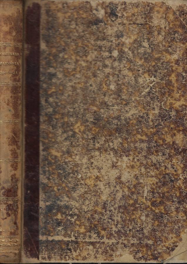 Biblioteca di Babele