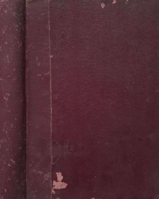 I commentarii de bello Gallico - copertina