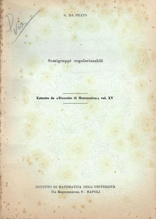 Semigruppi regolarizzabili - copertina