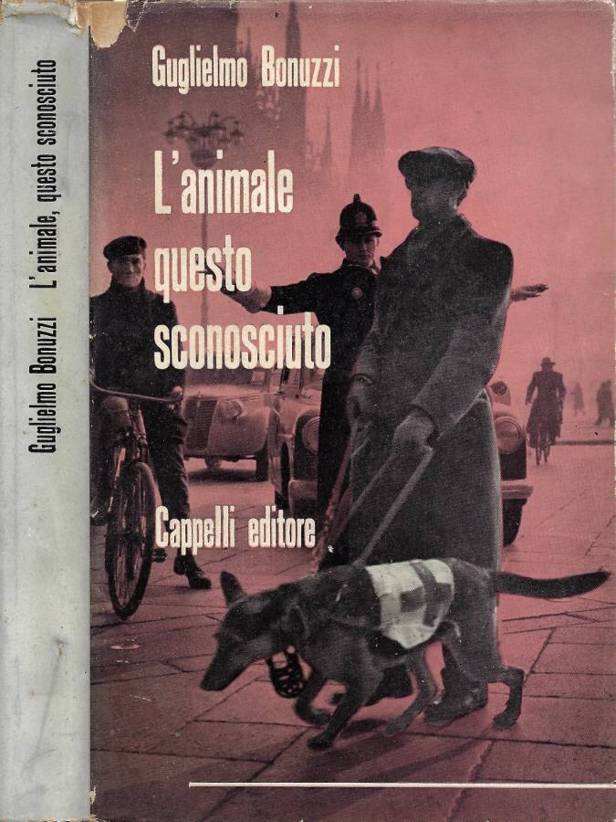Biblioteca di Babele