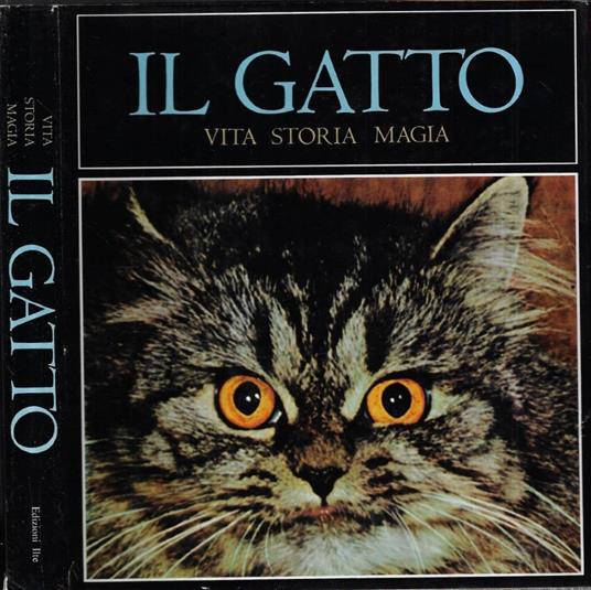 Il gatto - copertina