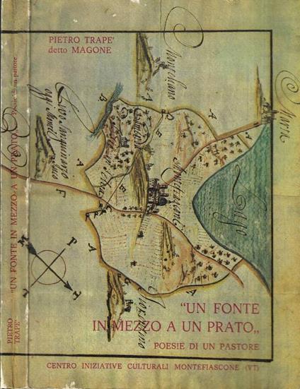 Un fonte in mezzo a un prato - copertina