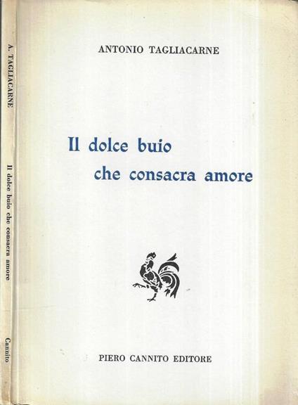 Il dolce buio che consacra amore - copertina
