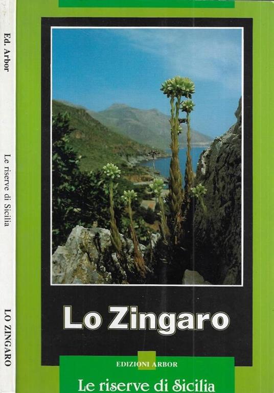 Lo Zingaro - copertina