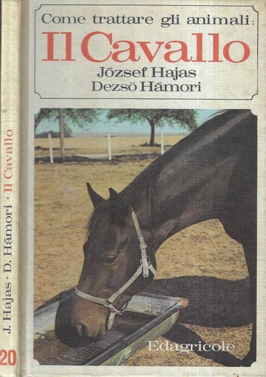 Il cavallo - Jòzsef Hajas - copertina