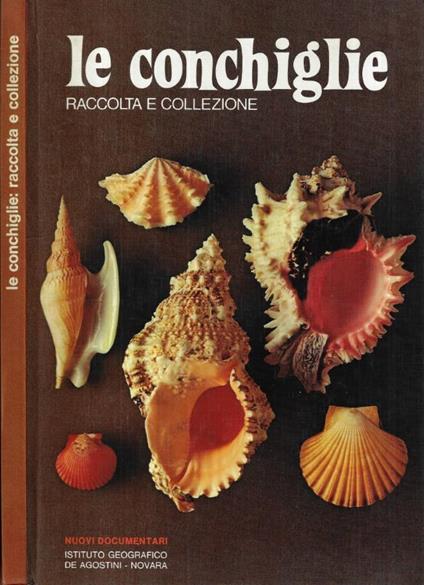 Le conchiglie - Sergio Angeletti - copertina