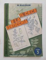 Il cece, la lenticchia e la cicerchia