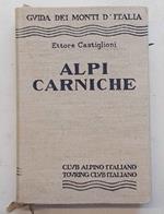 Alpi Carniche