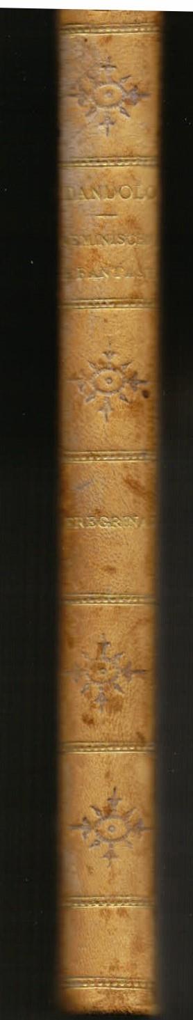 Reminiscenze e fantasie. Peregrinazioni - Tullo Massarani - copertina