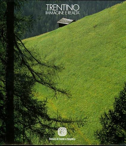 Trentino: immagine e realtà - Flavio Faganello - copertina