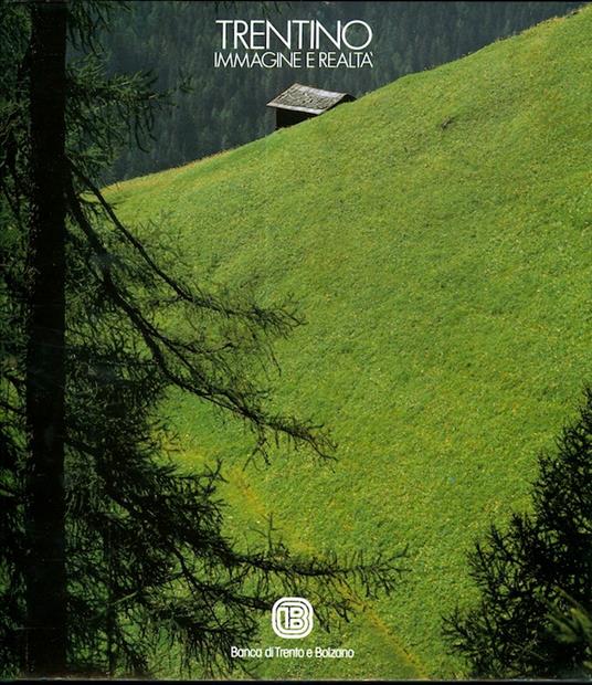 Trentino: immagine e realtà - Flavio Faganello - copertina