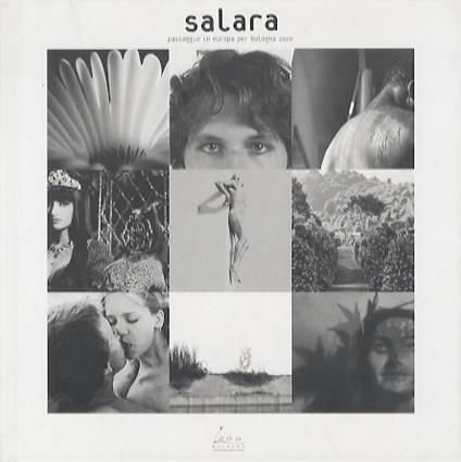 Codici virtuali: sintesi di un'indagine dei linguaggi pittorico-fotografici - Alice Rubbini - copertina