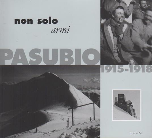 Non solo armi: Pasubio 1915-1918: fotografie dagli archivi del Museo storico italiano della guerra di Rovereto e del Tiroler Kaiserjägermuseum di Innsbruck. Pubblicato in occasione della mostra itinerante del 2001 promossa dai Comuni del Pasubio - copertina