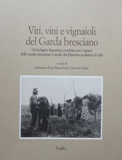 Vini, viti e vignaioli del Garda bresciano: un'indagine linguistica condotta con i ragazzi delle scuole elementari e medie del Distretto scolastico di Salò. Grafostorie. Storia del territorio, del lavoro e dell'industria - Domenico Fava - copertina