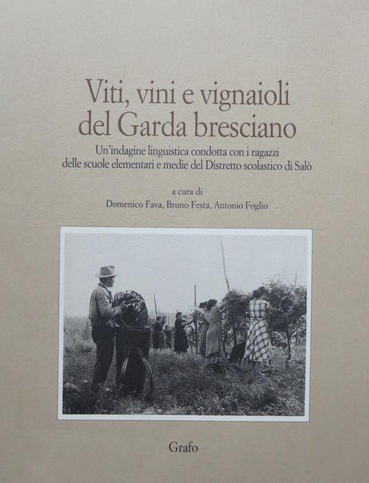 Vini, viti e vignaioli del Garda bresciano: un'indagine linguistica condotta con i ragazzi delle scuole elementari e medie del Distretto scolastico di Salò. Grafostorie. Storia del territorio, del lavoro e dell'industria - Domenico Fava - copertina
