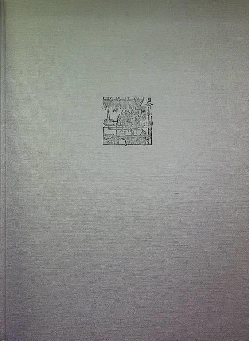 Il teatro delle acque. Coordinati da Dalu Jones - Attilio Petruccioli - copertina