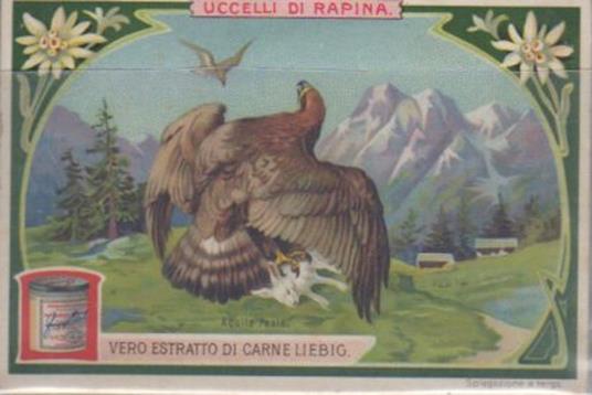 Uccelli di rapina - copertina