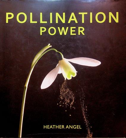 Pollination Power - copertina