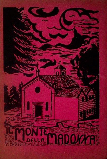 Il monte della Madonna sopra teolo: Cenni storici in occasione della solenne consacrazione del santuario - copertina