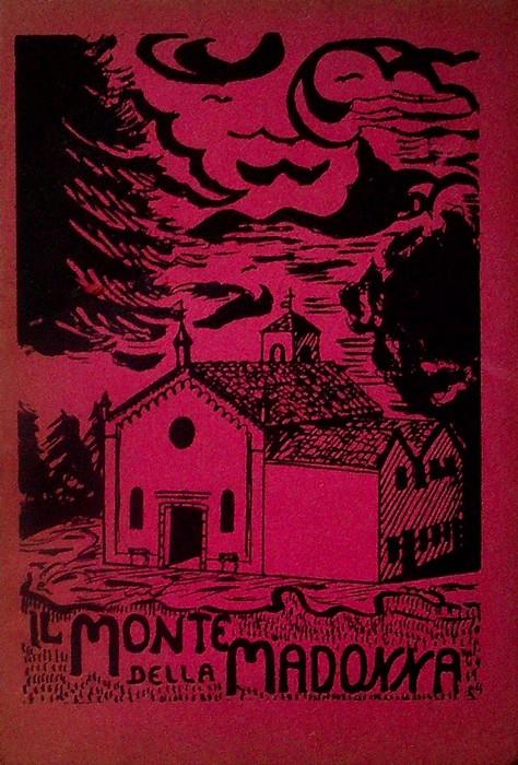 Il monte della Madonna sopra teolo: Cenni storici in occasione della solenne consacrazione del santuario - copertina