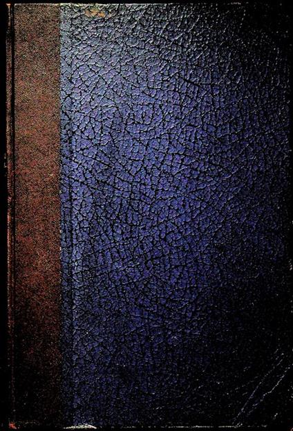 I Franchi Muratori del Trentino - Antonio Zieger - copertina