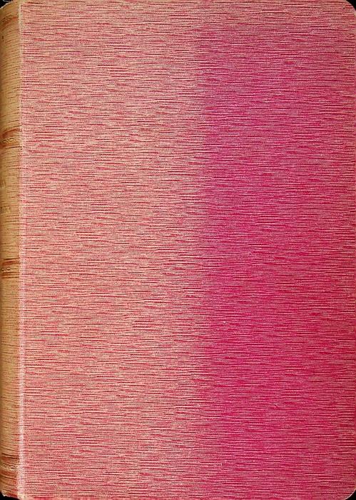 Storia delle Valli di Non e di Sole nel Trentino: dalle origini fino al secolo XVI - Vigilio Inama - copertina