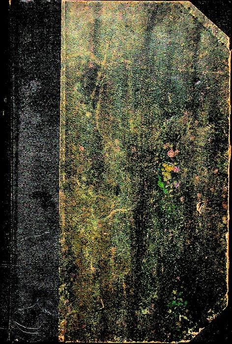 Direttorio spirituale dei Terziari di San Francesco. Traduzione dal francese sulla 2. ed. emendata ed accresciuta, curata da un religioso dello stesso Ordine - copertina