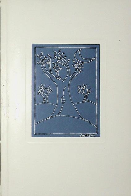 Il giardino del silenzio - Paolo Badano - copertina