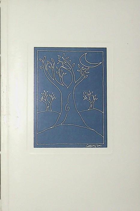 Il giardino del silenzio - Paolo Badano - copertina