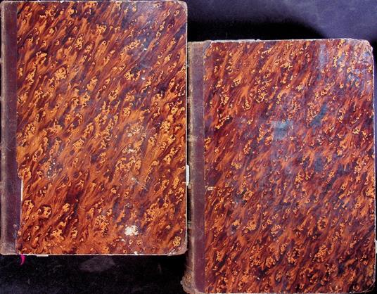 Theologia moralis sancti Alphonsi de Ligorio adjuncta in calce perutili instructione ad praxim confessariorum: VOLUME I e II. Una cum illustrissimi ac reverendissimi Joannis Dominici Mansi archiepisc. Lucensis epitome doctrinae moralis et canonicae. - Alfonso Maria Liguori - copertina