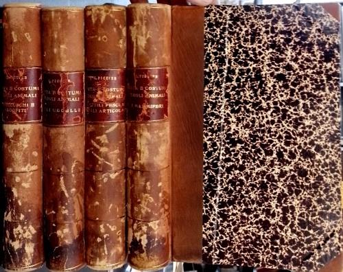 Firenze Libri