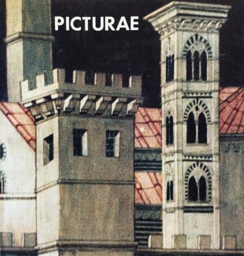 Picturae - Maria Luisa Frisa - copertina