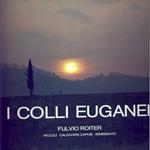 I colli Euganei