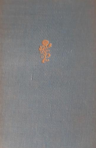 Dante e Michelangiolo - copertina