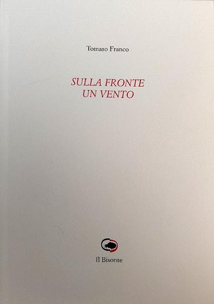 Sulla fronte un vento - copertina