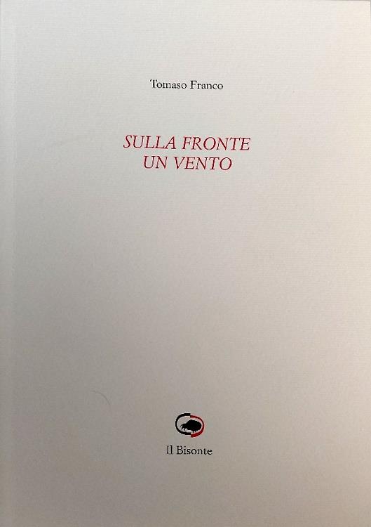 Sulla fronte un vento - copertina